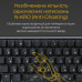 Клавіатура Ducky One 3 Mini Cherry MX Silent Red RGB UA USB Black (DKON2161ST-SUAPXCLAWSC1)