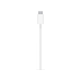 Безпровідний зарядний пристрій Apple MagSafe Charger (MHXH3)