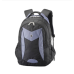 Рюкзак для ноутбука Sumdex PON-366GY 15.6“ Black/Blue