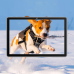Захисне скло BeCover для Blackview Tab 70 WiFi 10.1“ (712823)