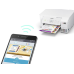 Багатофункціональний пристрій А4 кол. Epson EcoTank L3266 Wi-Fi (C11CJ66411)